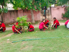 🌿 जीवन कौशल